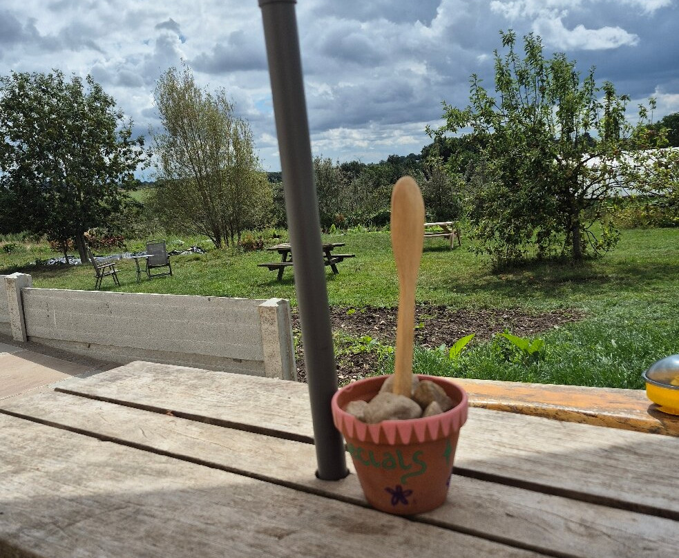 Cossall餐馆和美食-Trinity Farm Shop & Cafe