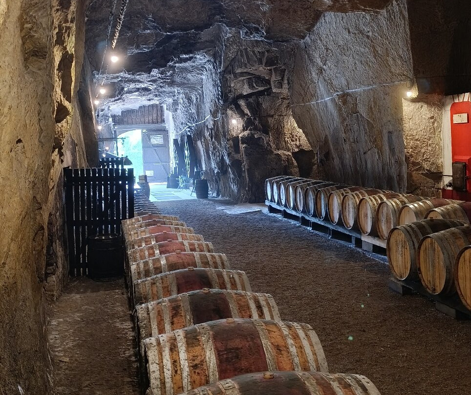 Cave Monplaisir-希农必去景点