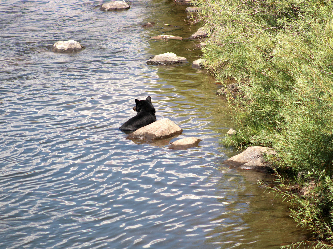 Lakota River Guides-Avon必去景点