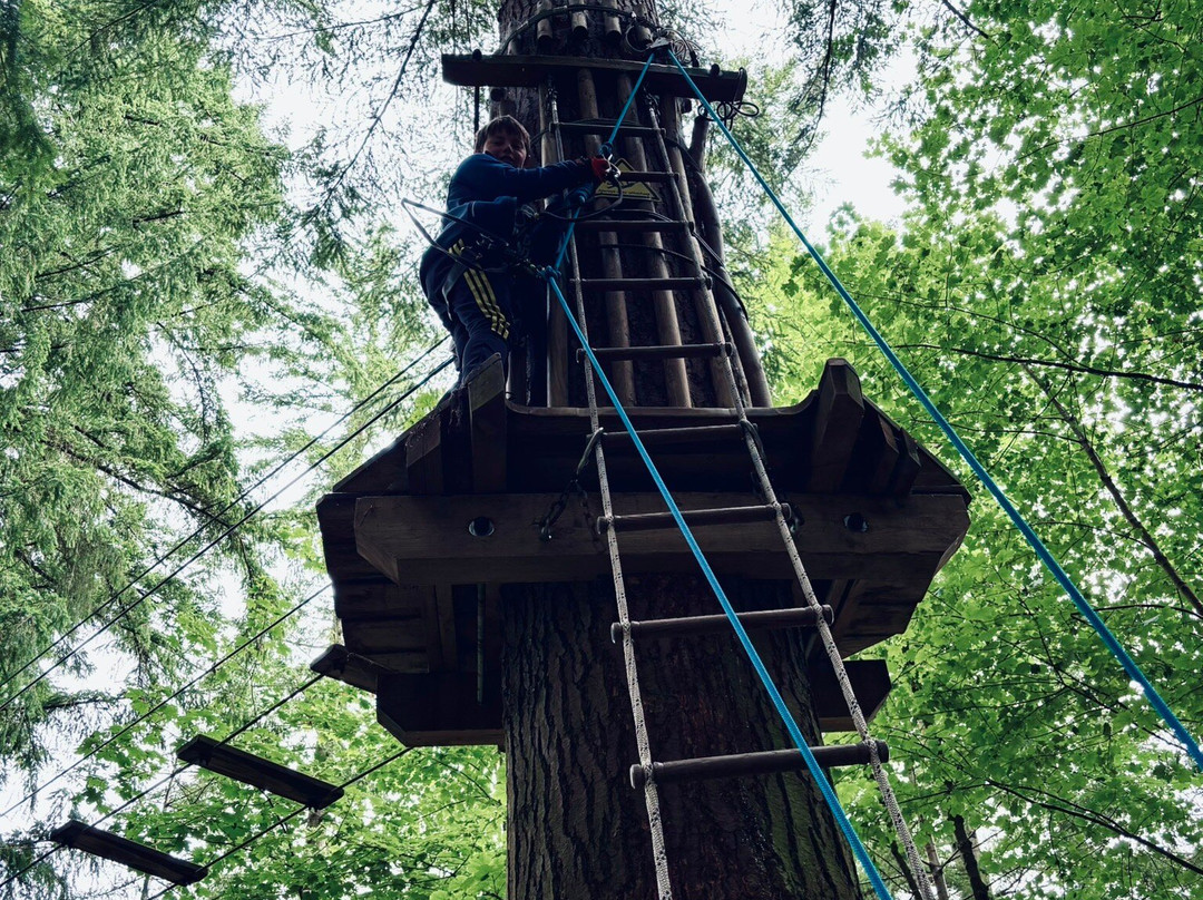 Go Ape Glentress Forest, Peebles-皮布尔斯必去景点