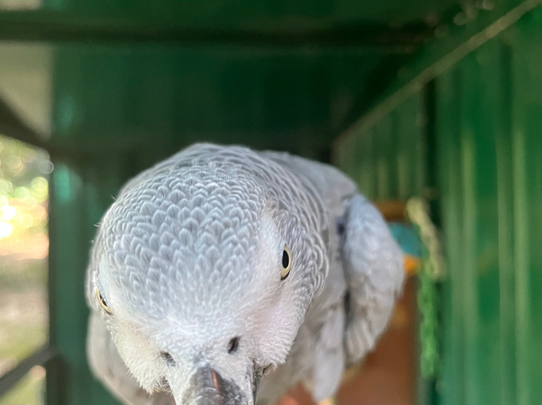 Jardin Animalier de Mialet-Mialet必去景点