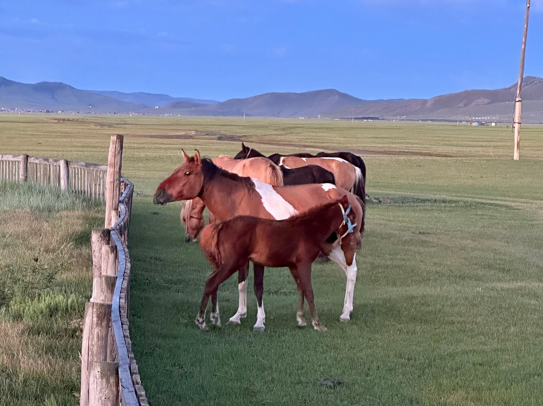 True Mongolia Travel-乌兰巴托必去景点