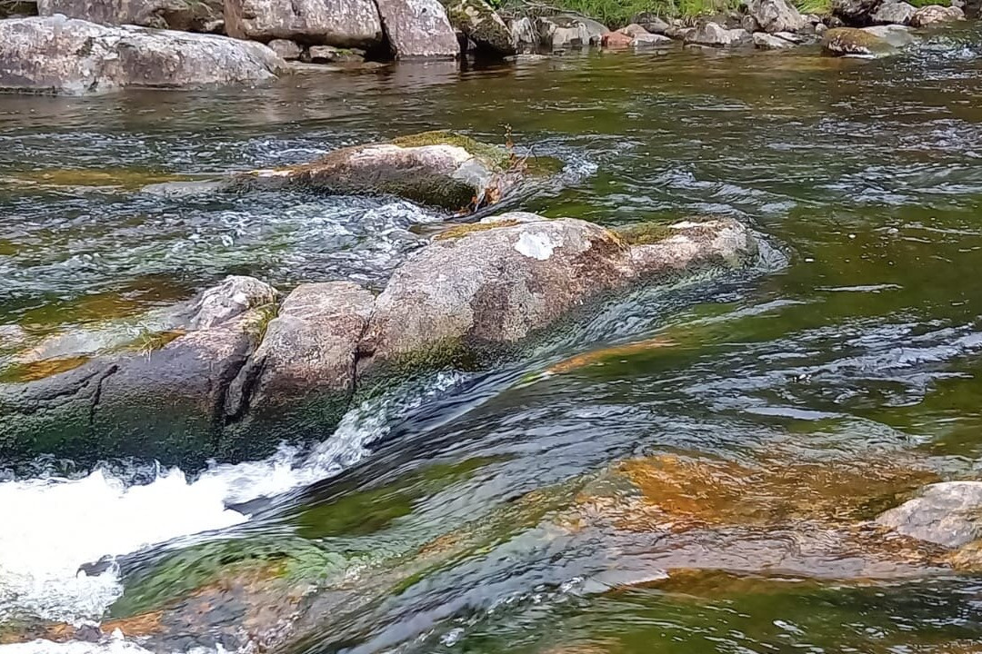 Glen Affric National Nature Reserve-Cannich必去景点