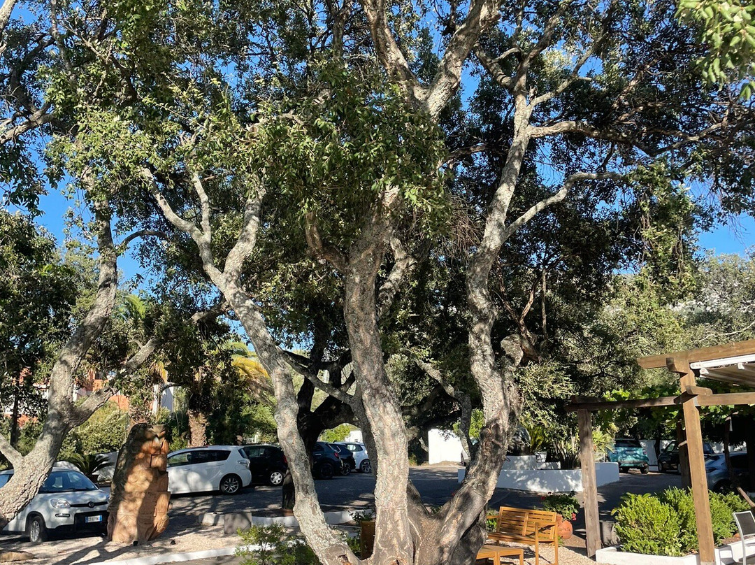 库尔切托酒店主图