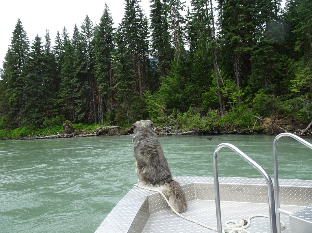 River Safari-Blue River必去景点