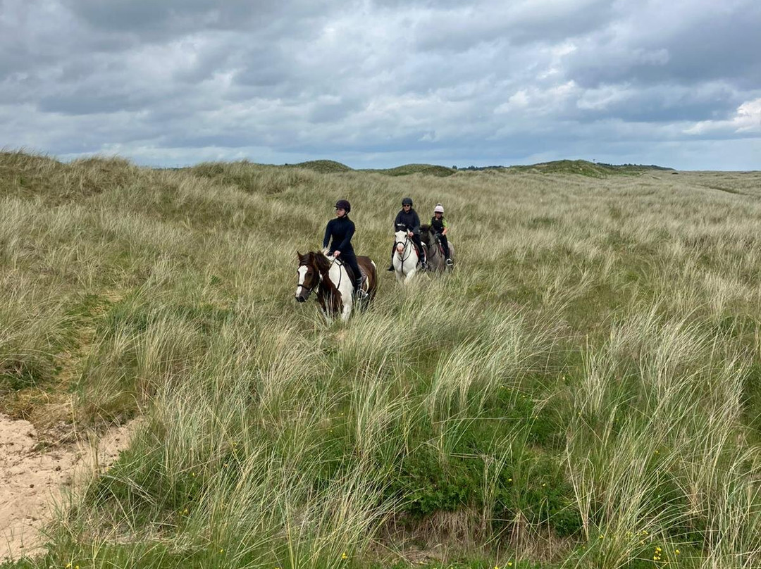 Shrule Equestrian Centre-Gorey必去景点