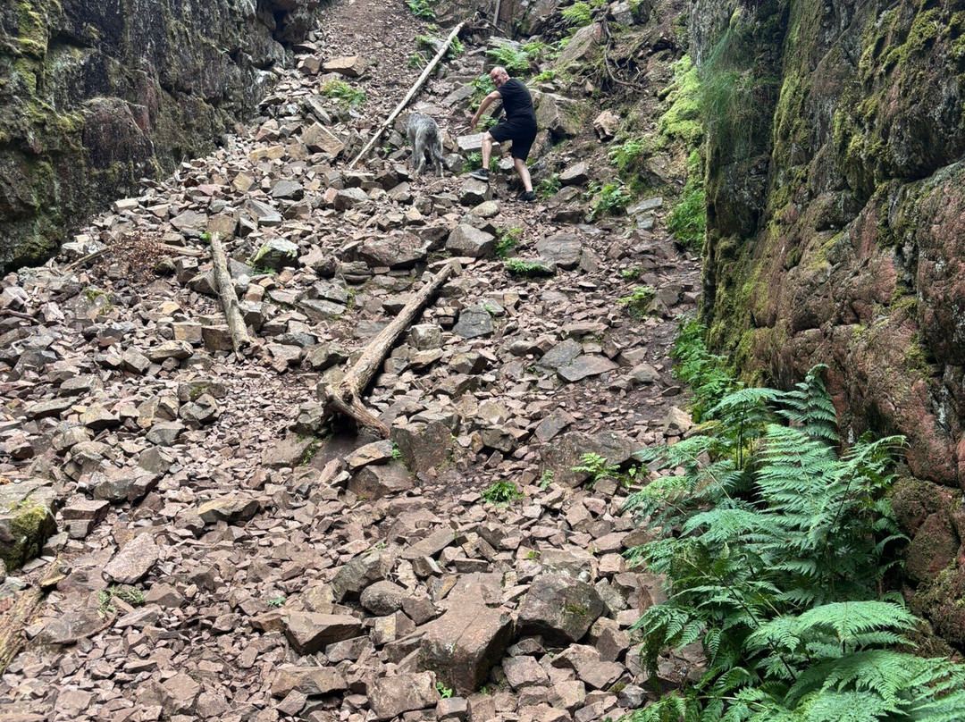 Naturreservatet Skurugata & Skuruhatt-Eksjo必去景点