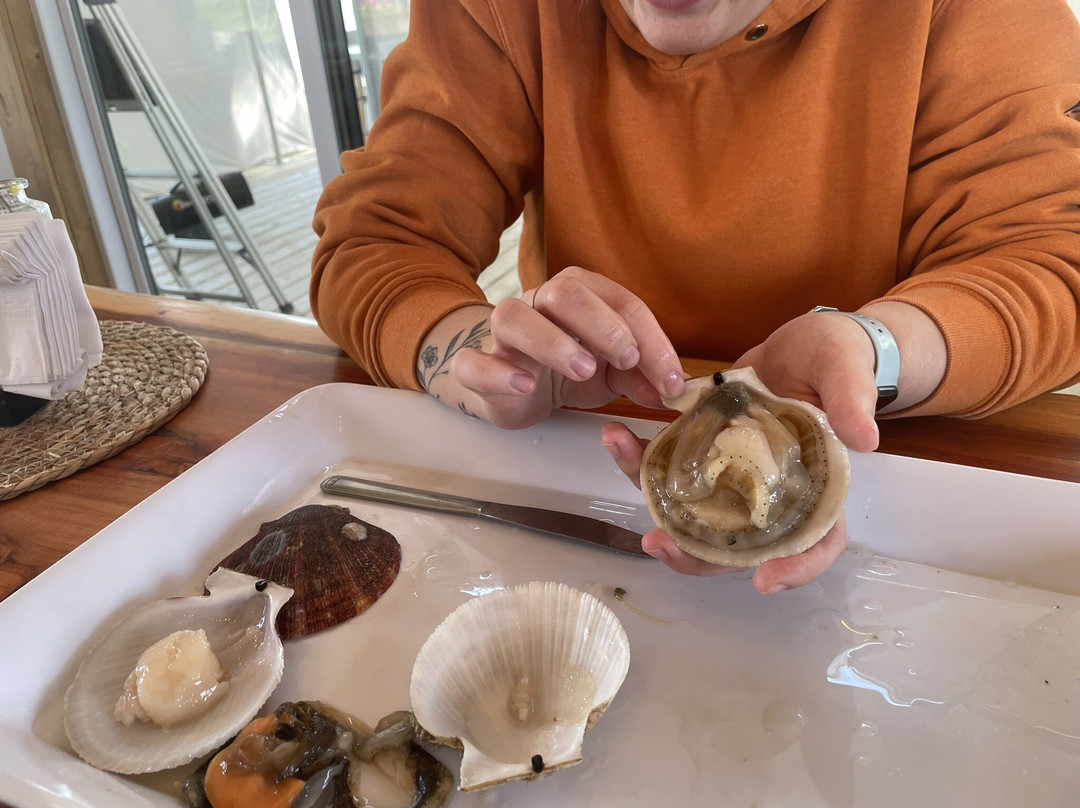 Salmon Bay Farm-Salmon Bay必去景点