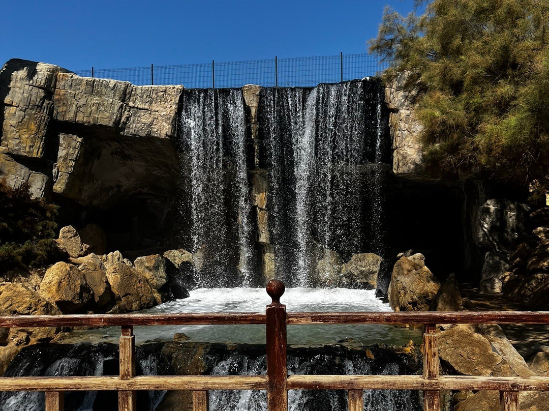 Parque El Palmeral-阿利坎特省必去景点