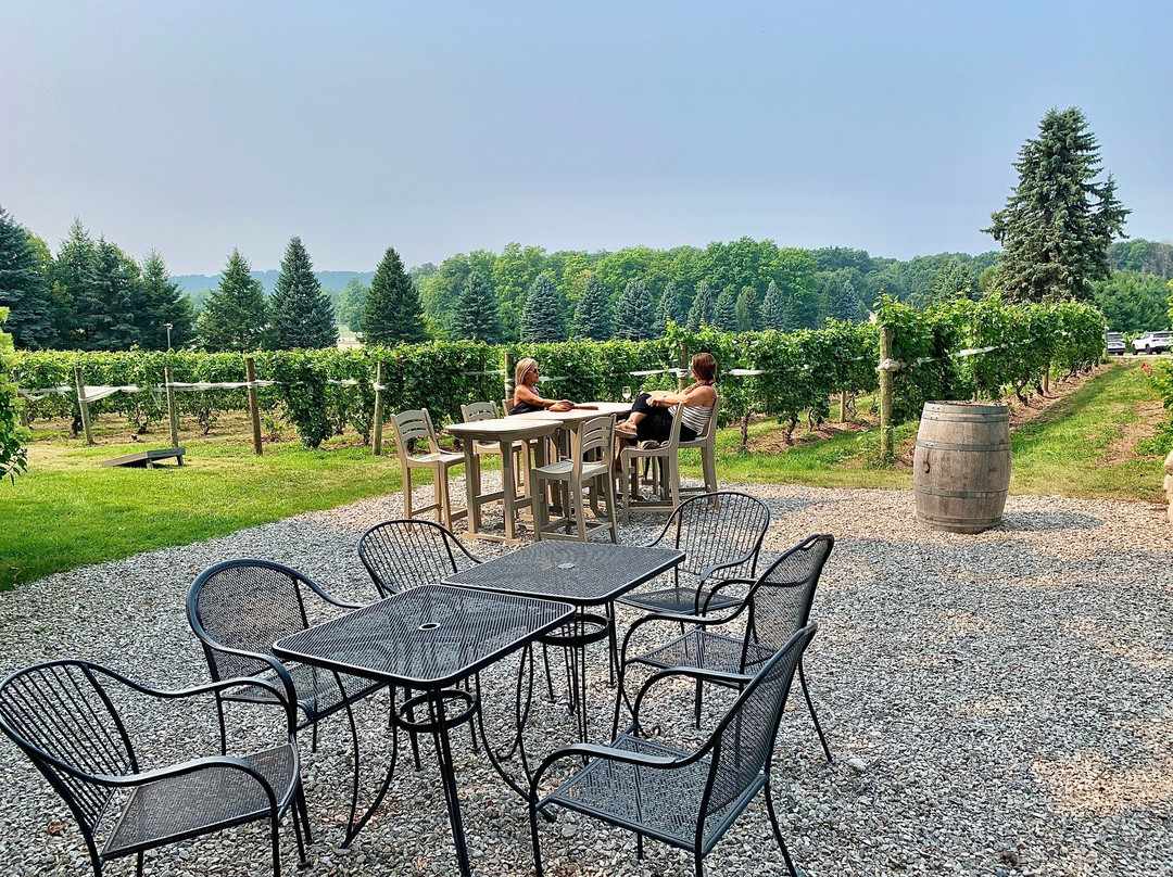 Bowers Harbor Vineyards-特拉弗斯城必去景点