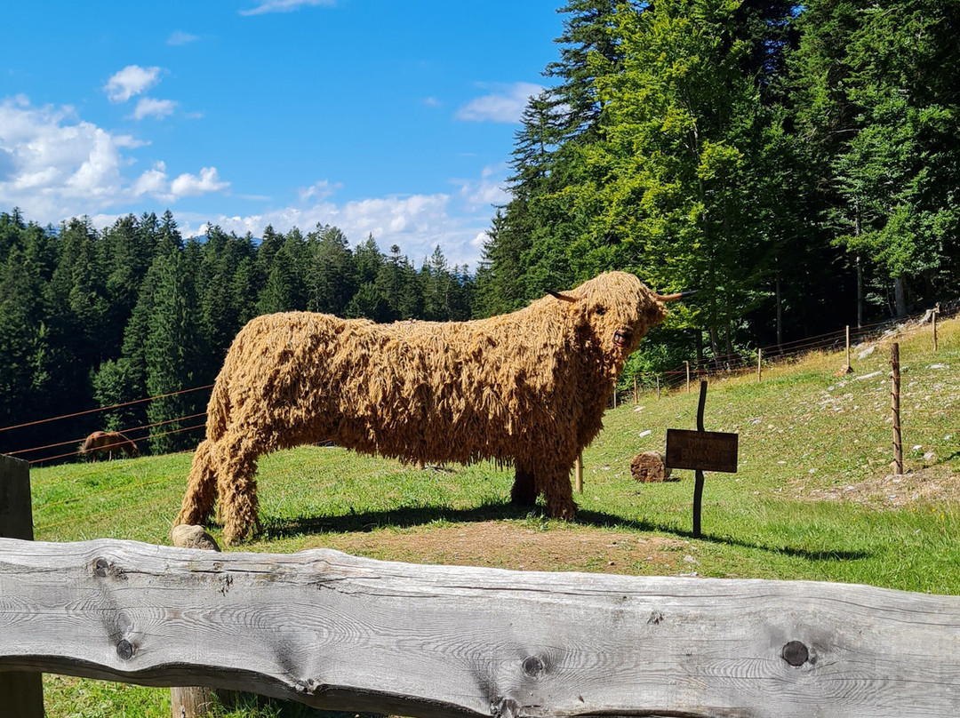 Malga Val Dei Brenzi-Fai della Paganella必去景点