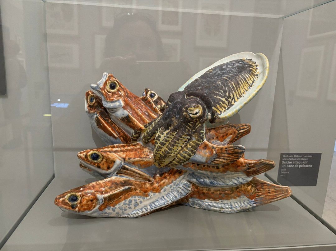 Museum Mathurin Méheut-Lamballe必去景点