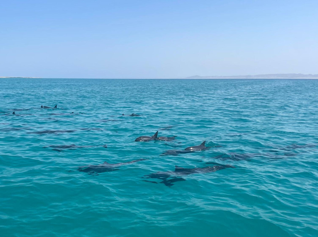 Wadi El Gemal National Park-马萨阿拉姆必去景点