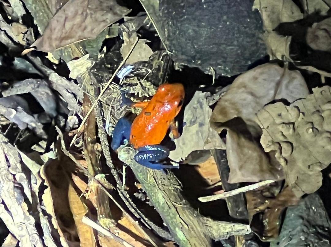 Arenal Vida Campesina-福德圣卡洛斯必去景点