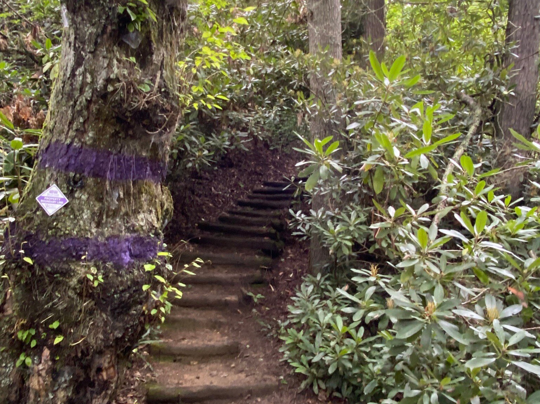 Highlands Biological Station, Nature Center and Botanical Gardens-海兰兹必去景点