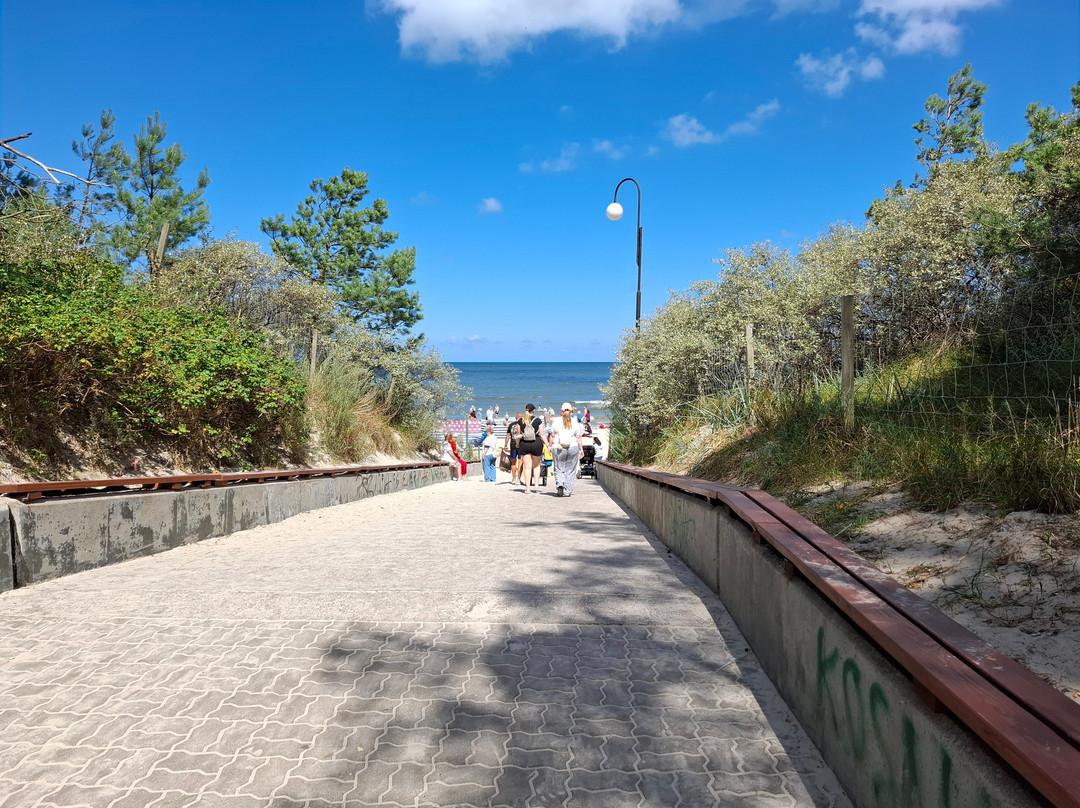 Bocianie Gniazdo Hotel主图