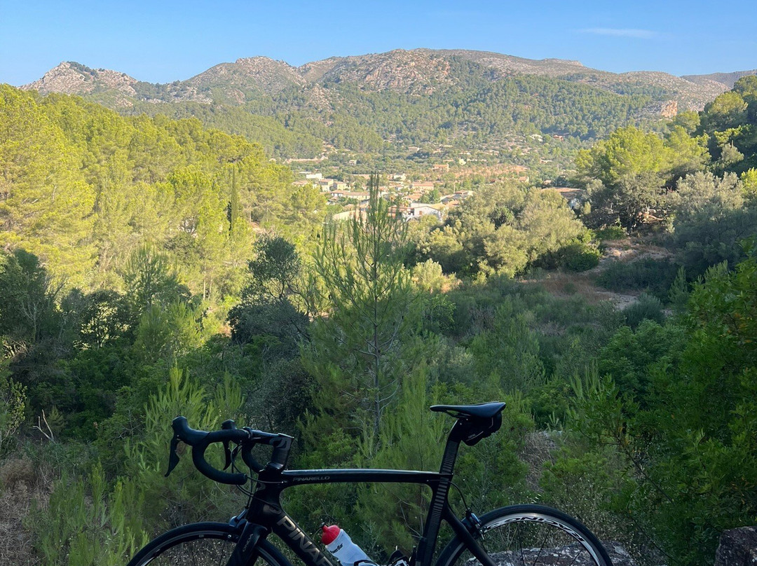 Why Not Cycling-Palmanova必去景点