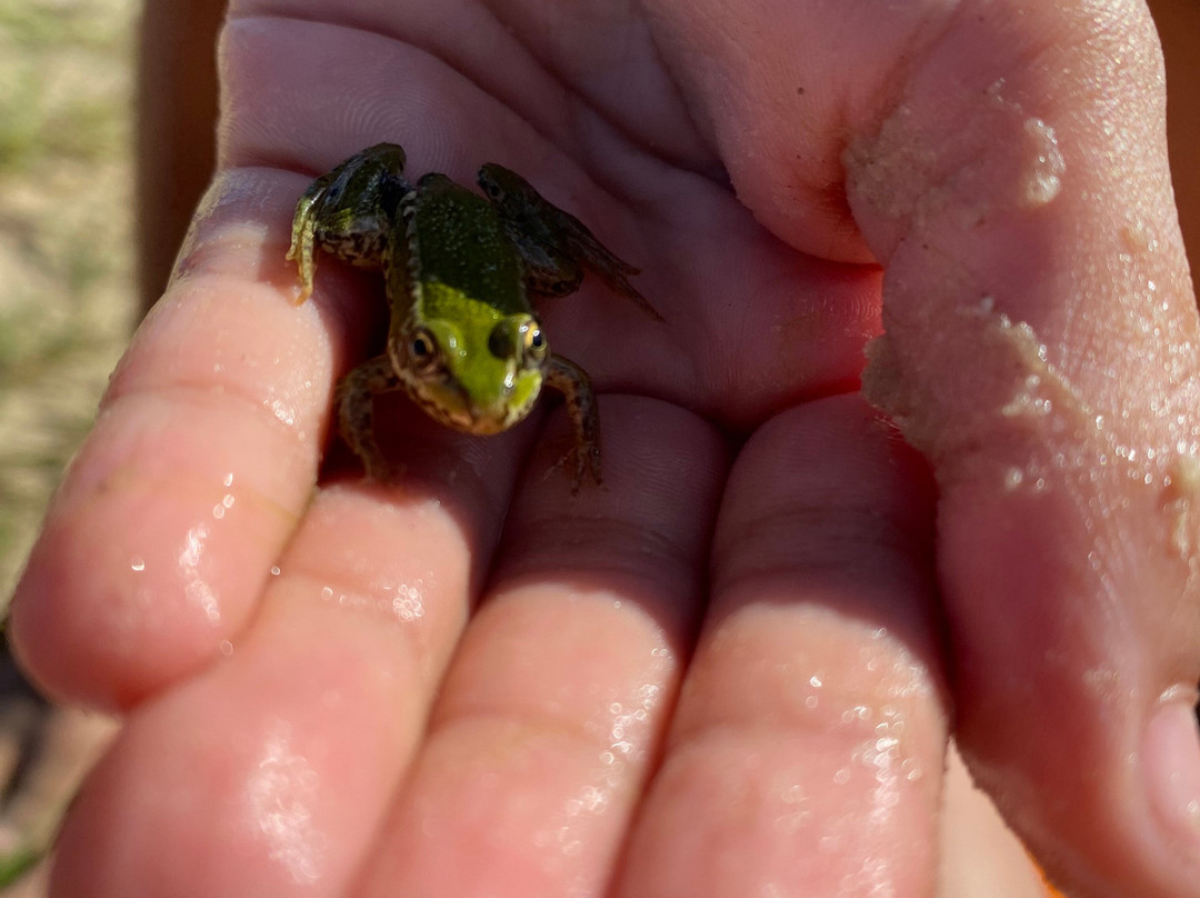 Dwergter Badesee-Molbergen必去景点