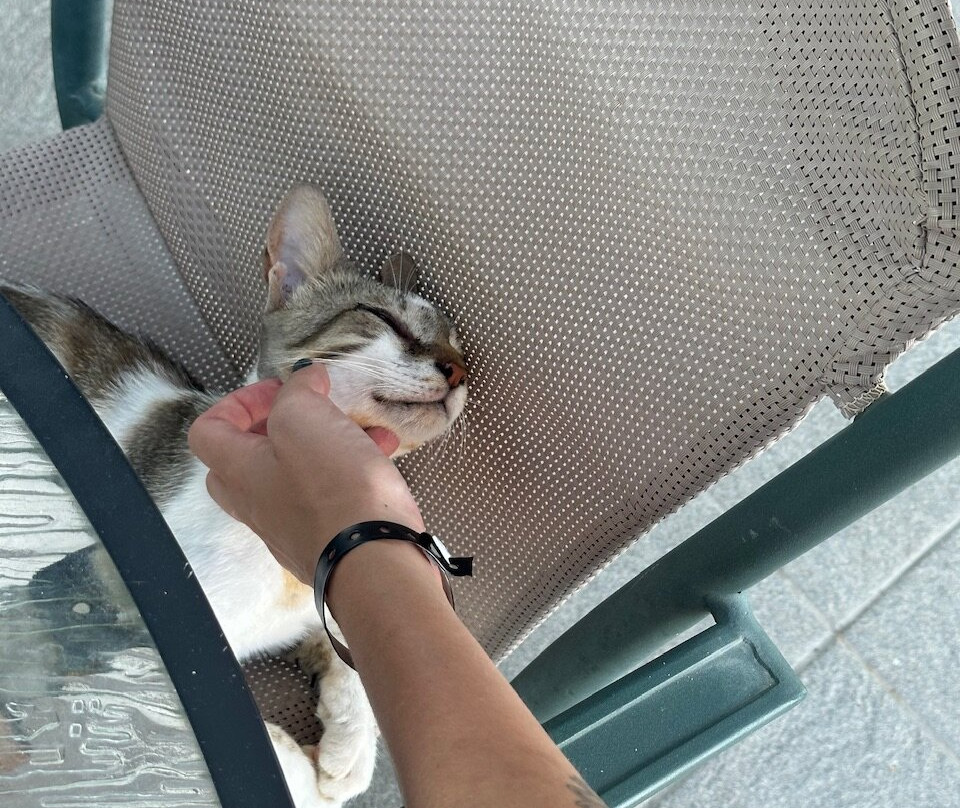 Virginia Family Resort主图