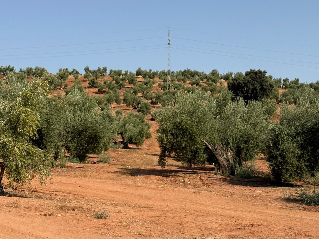 Oro Bailen-Villanueva de la Reina必去景点
