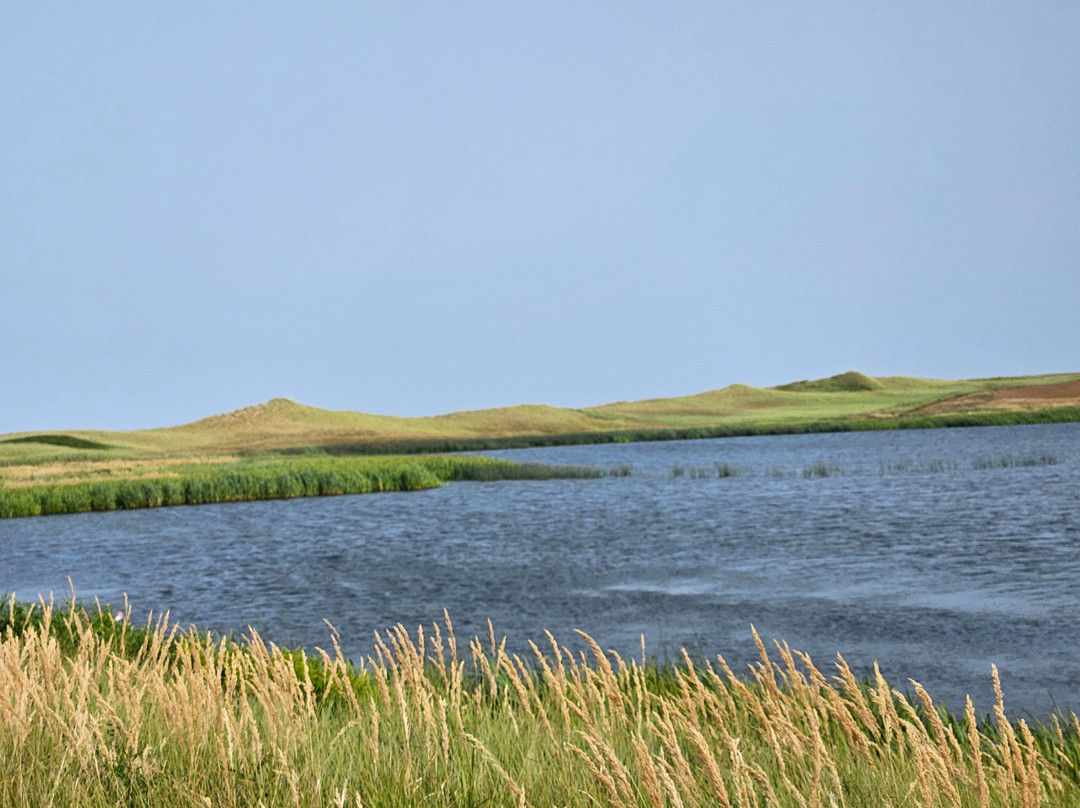 Matthew's Carriage Rides-Kensington必去景点