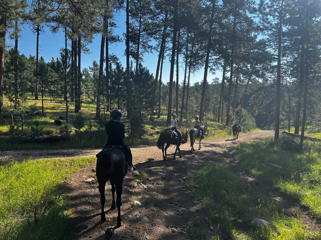 Blue Bell Stables-卡斯特必去景点