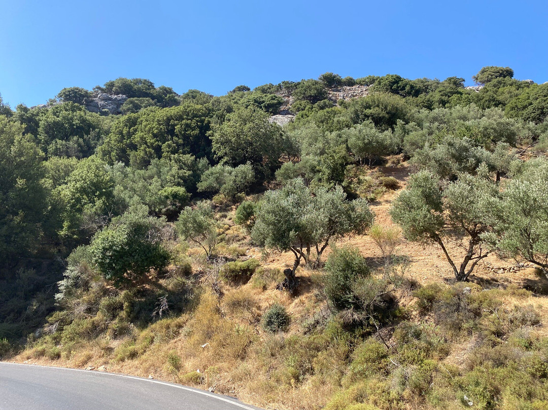 Crete Jeep Safari Adventure-赫索尼索斯必去景点