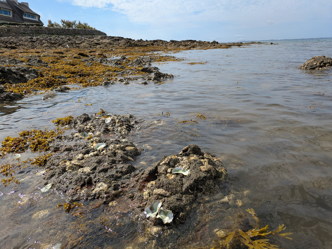 Plage de Kervillen-La Trinite-sur-Mer必去景点