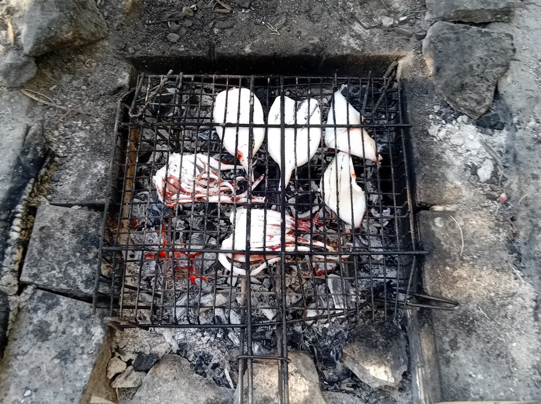 Fish & Fun With Nikos-Stegna必去景点