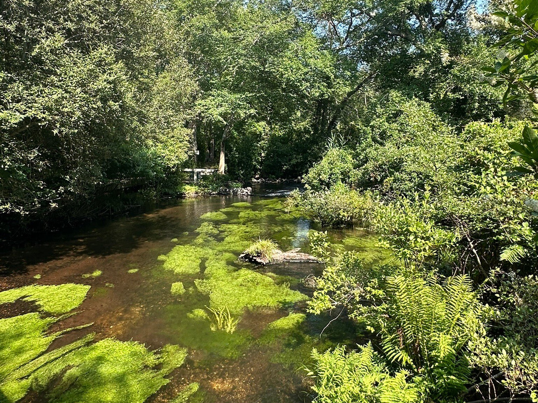 Connetquot River State Park Preserve-Bohemia必去景点