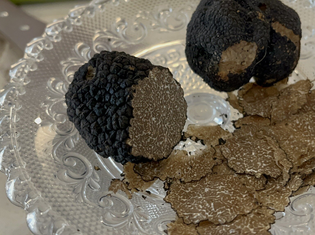 Truffle in Tuscany-圣米尼亚托必去景点