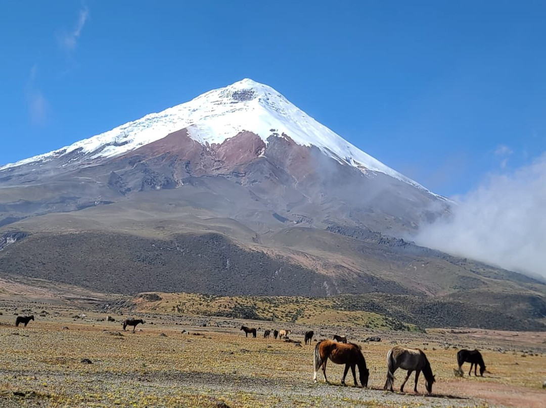 Tourexpress & Transfers-基多必去景点