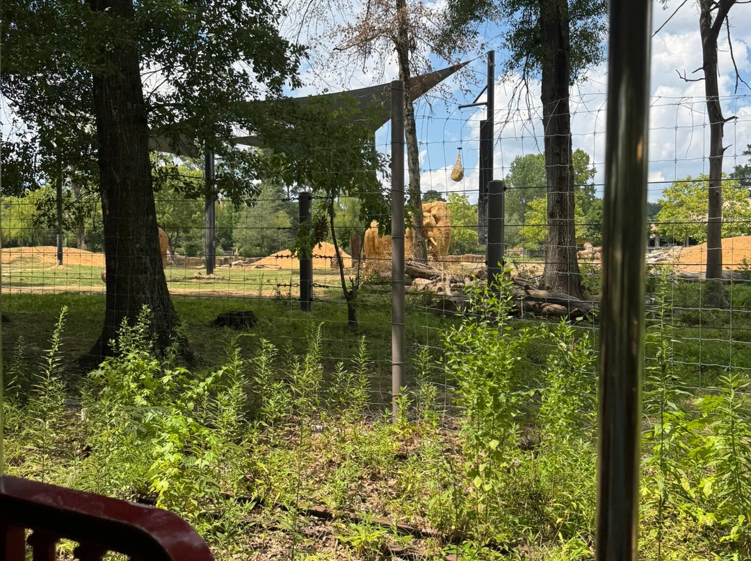 Birmingham Zoo-伯明翰必去景点