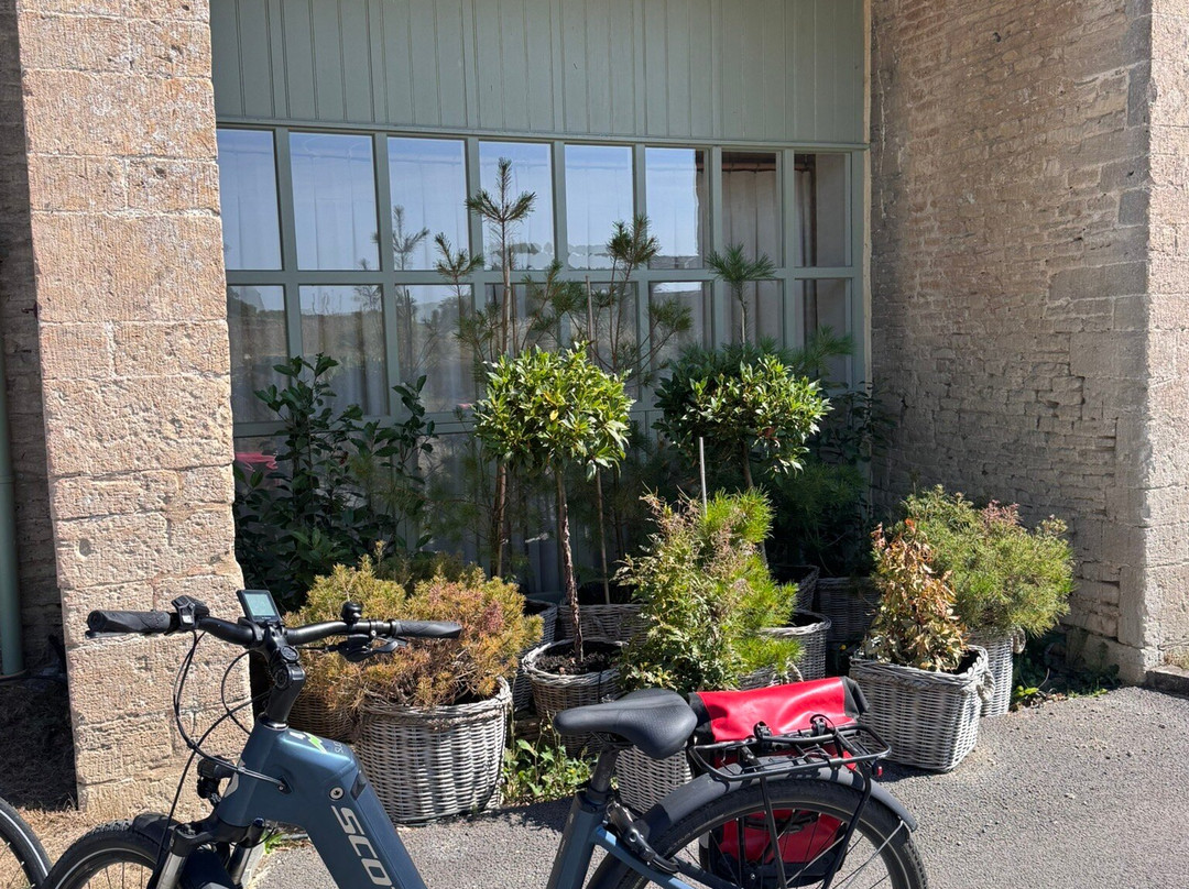 Cotswold eBikes-赛伦塞斯特必去景点