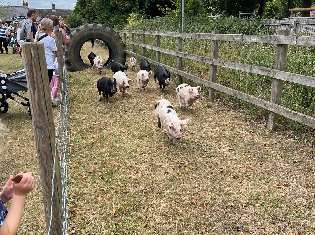 Church Farm - Stow Bardolph-Stow Bardolph必去景点
