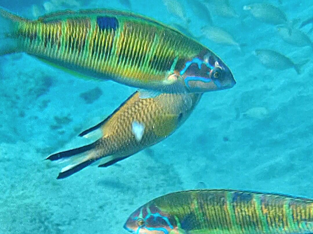 Playa De Montaña Roja