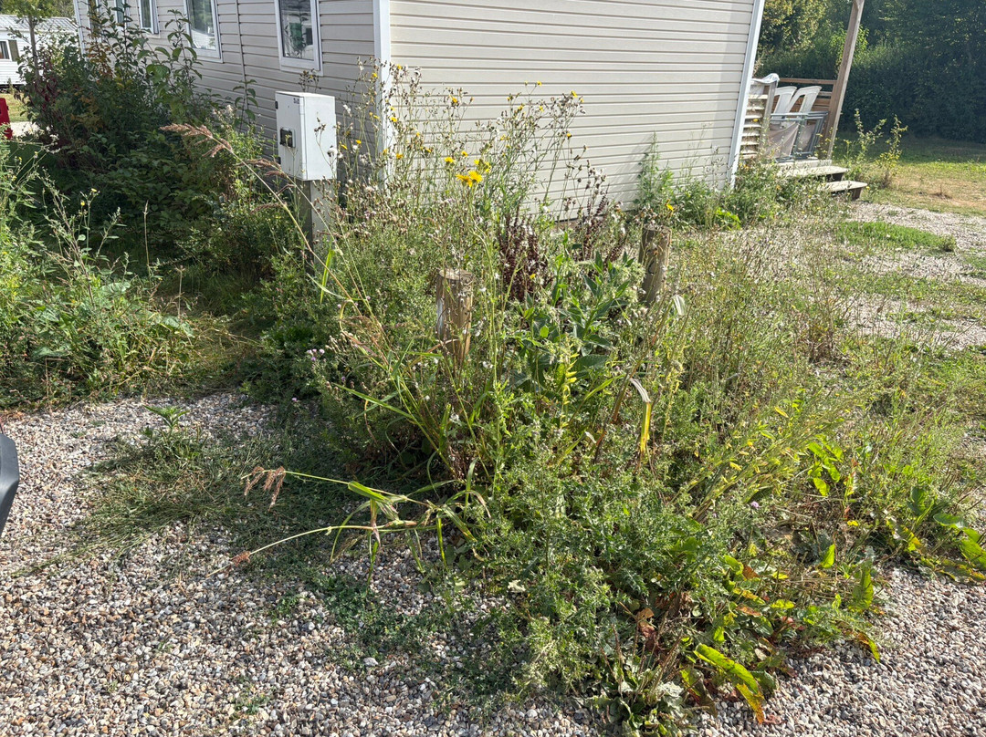 Camping Le Clos Cacheleux主图