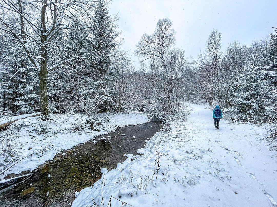 Dolina Rabskiego Potoku-Baligrod必去景点