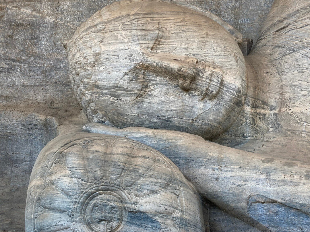 Minneriya Safari Tours-哈巴拉娜必去景点