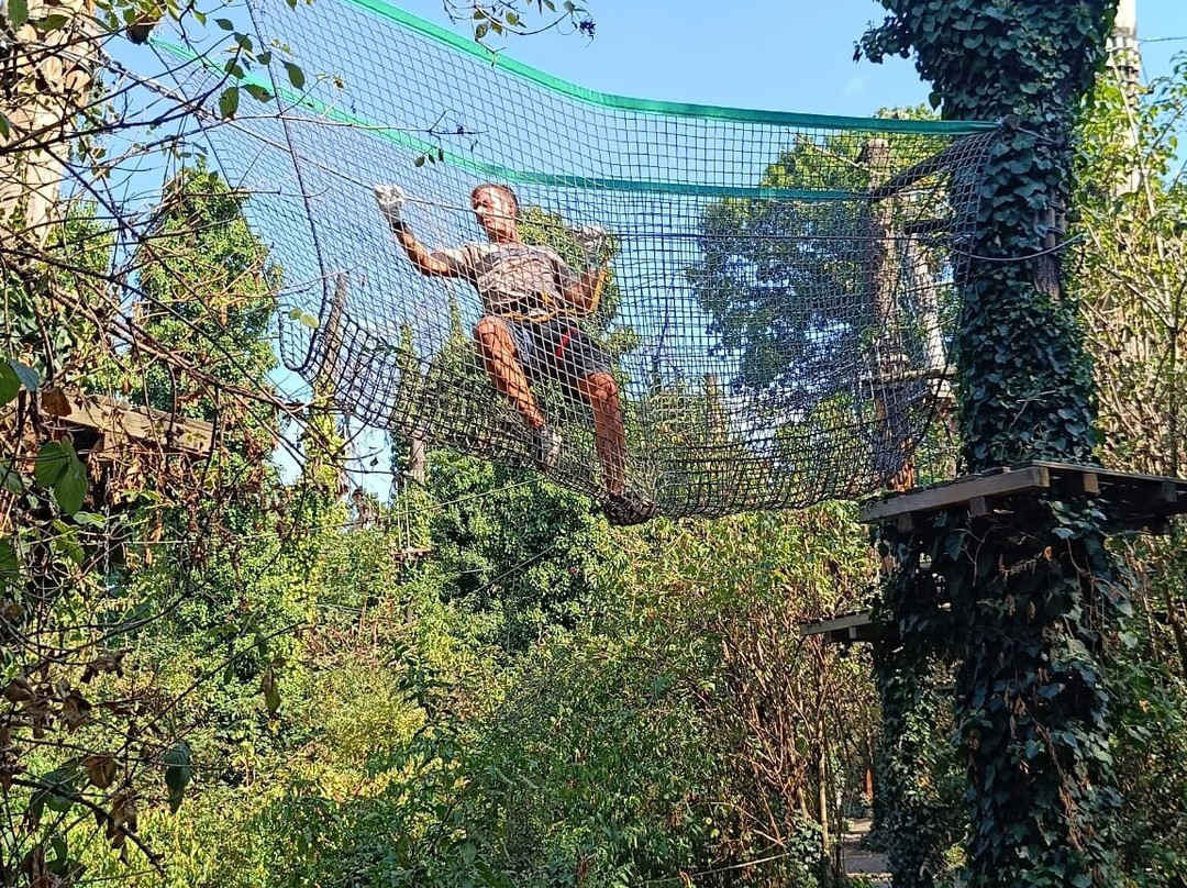 Monkey Park-阿雷塞必去景点