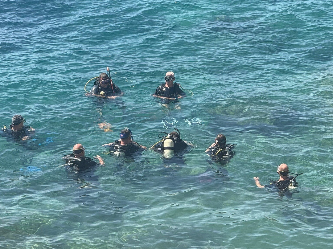 Marine Divers-帕福斯必去景点