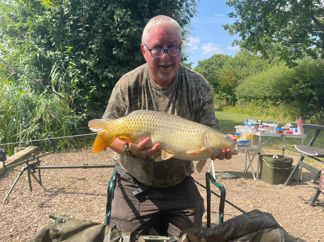 Alderwood Pond Fishing lakes-Steyning必去景点