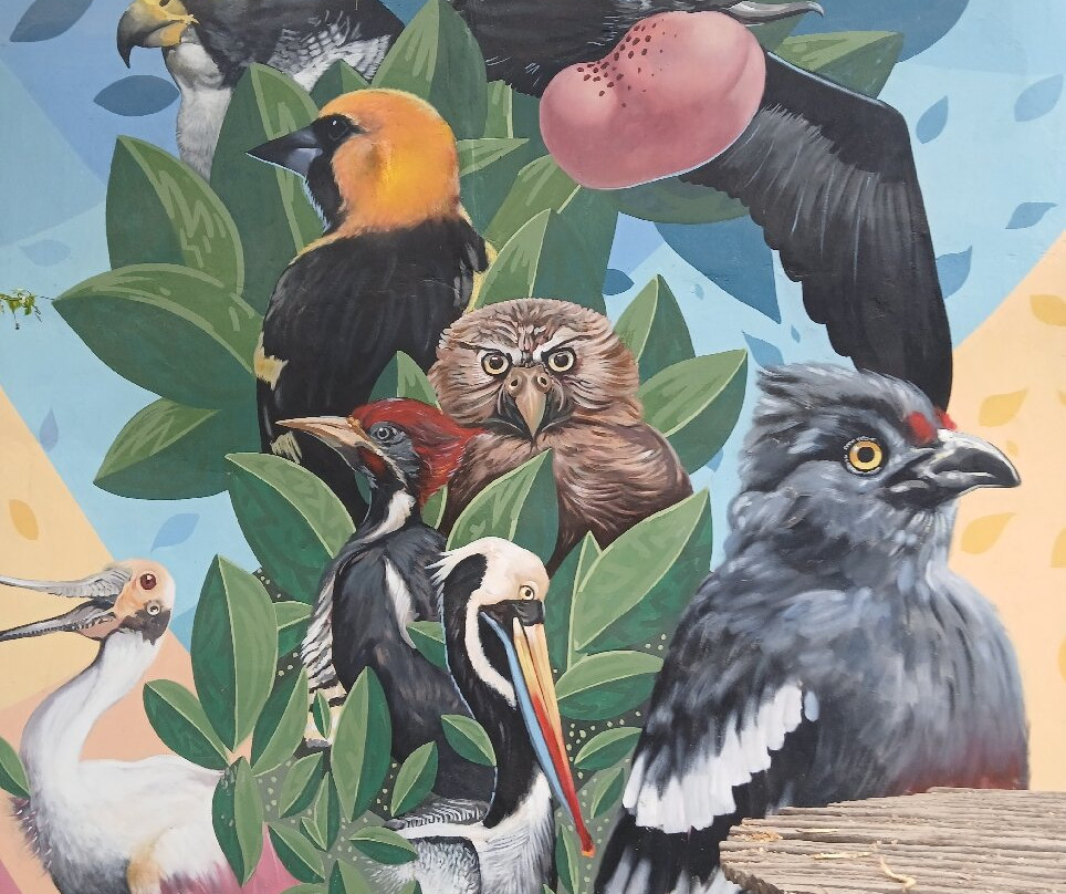 Birdwatching Máncora-Mancora必去景点