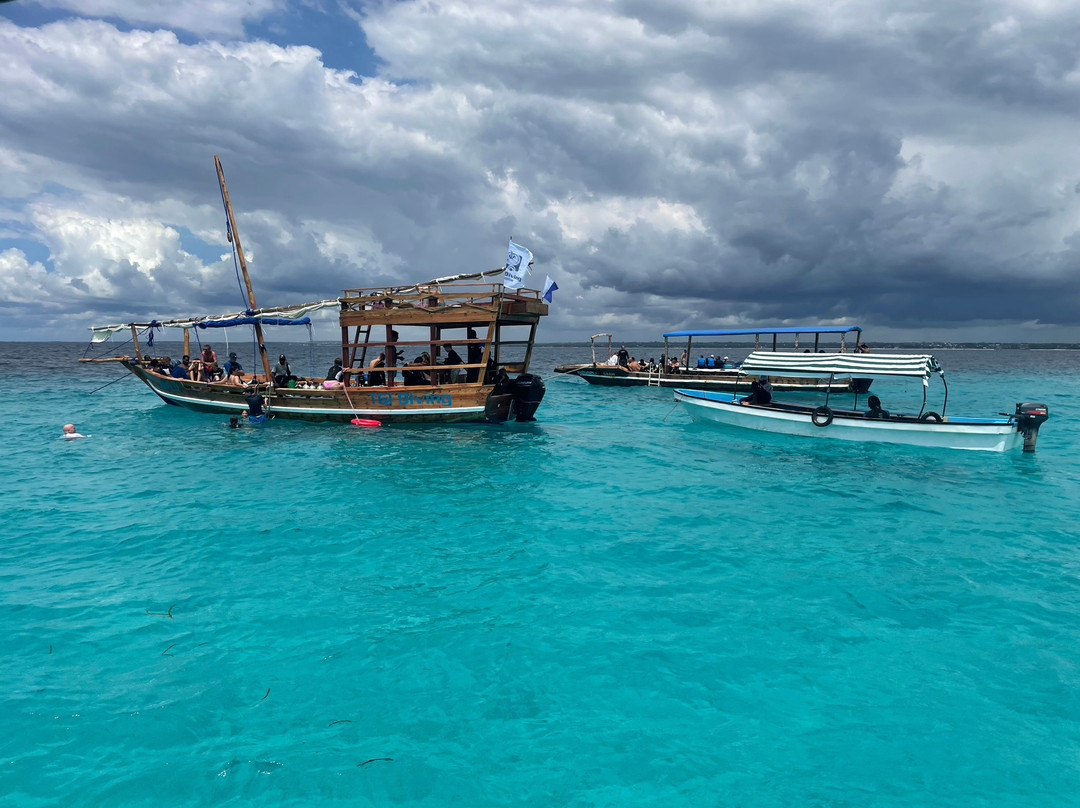 Dive Point Zanzibar-Matemwe必去景点