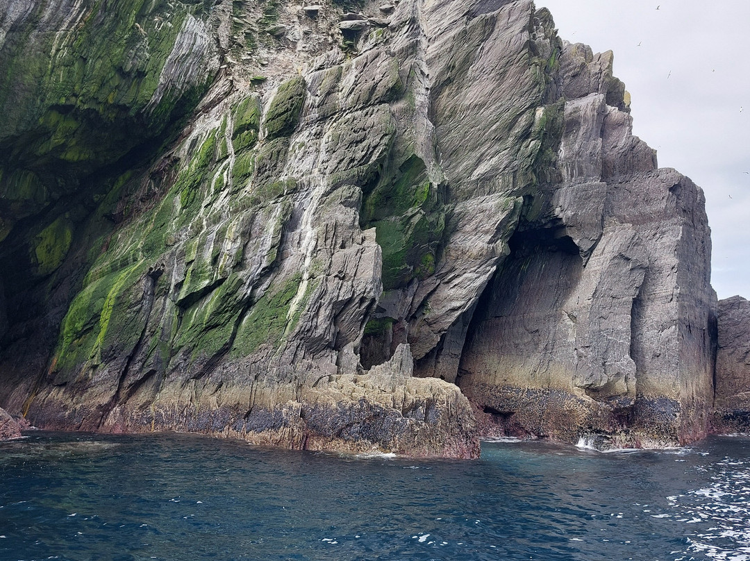 Skellig Michael Cruises-Portmagee必去景点