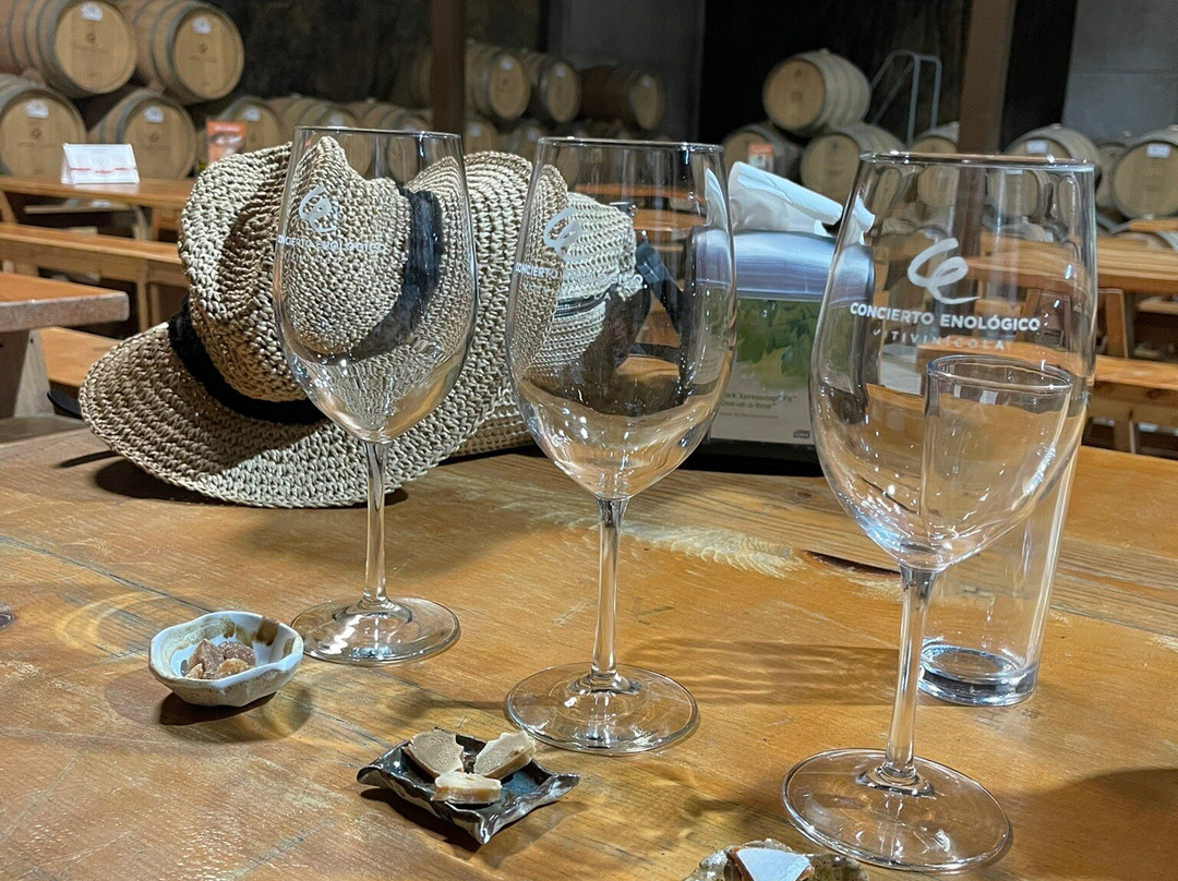 Concierto Enológico-Ejido El Porvenir必去景点