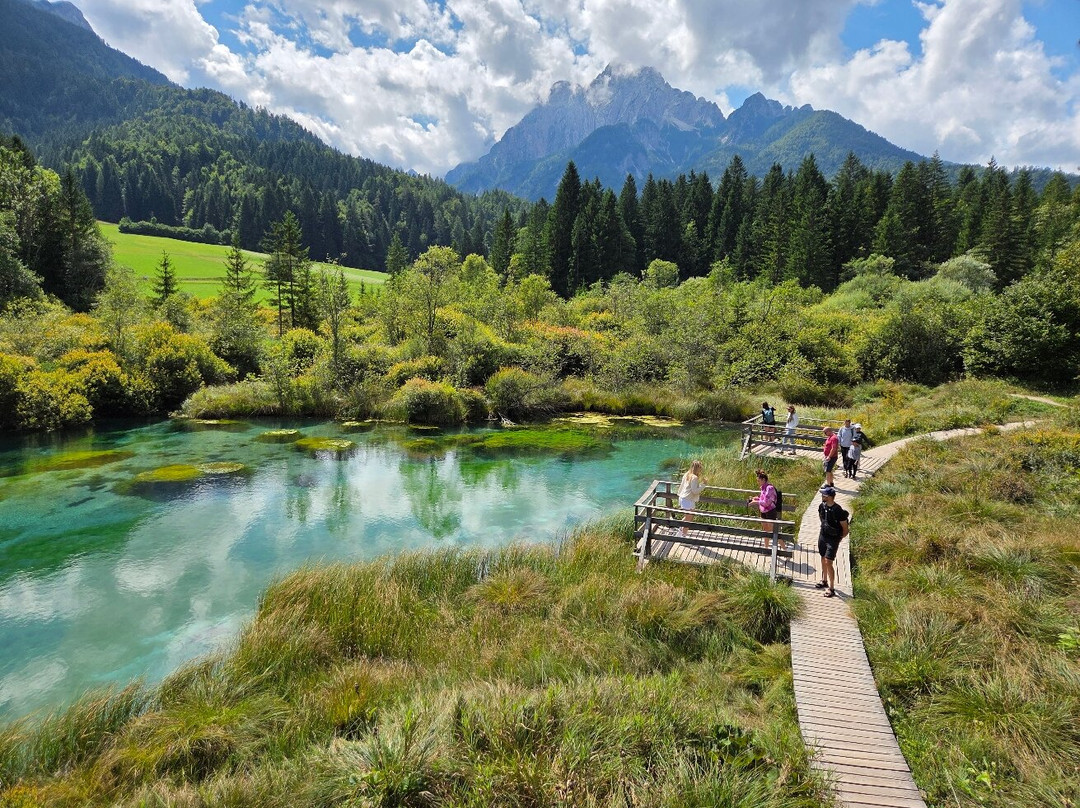 Zelenci Nature Reserve-Kranjska Gora必去景点
