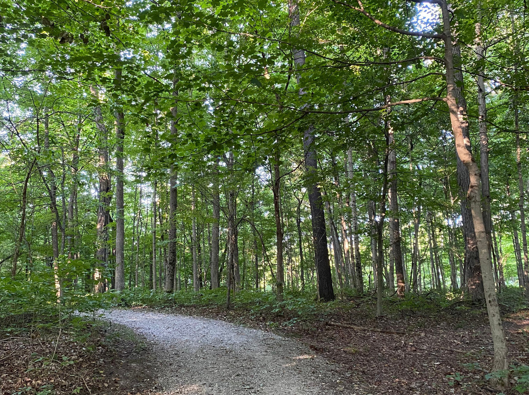 Charleston Falls Preserve-Tipp City必去景点