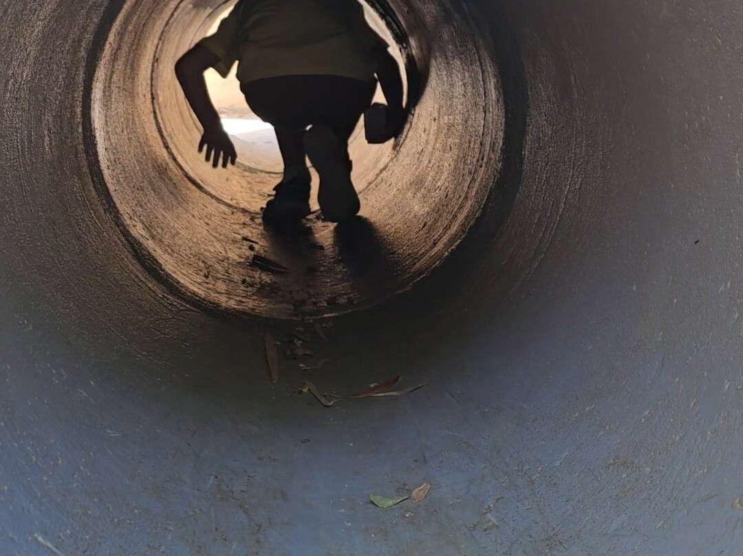 Bioparco Di Sicilia-Carini必去景点