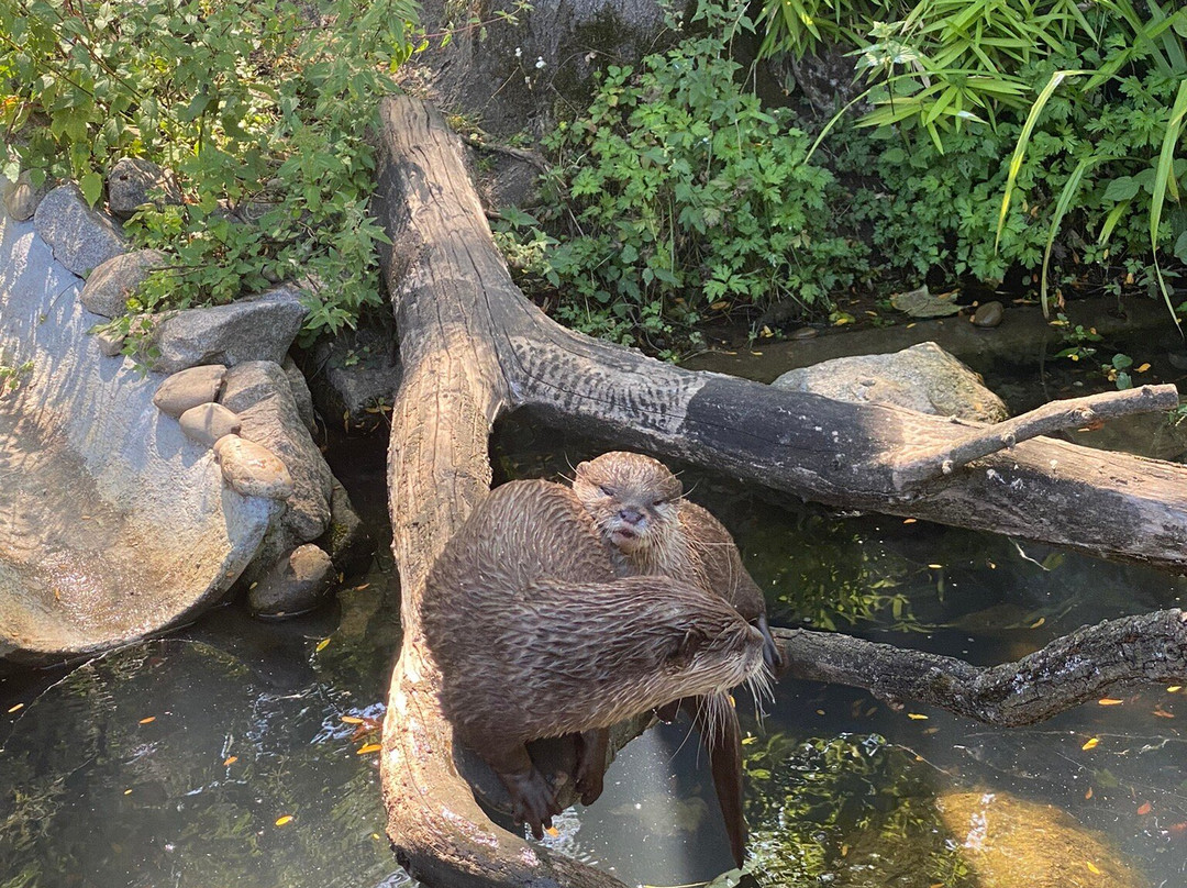 Zoo Karlsruhe-卡尔斯鲁厄必去景点